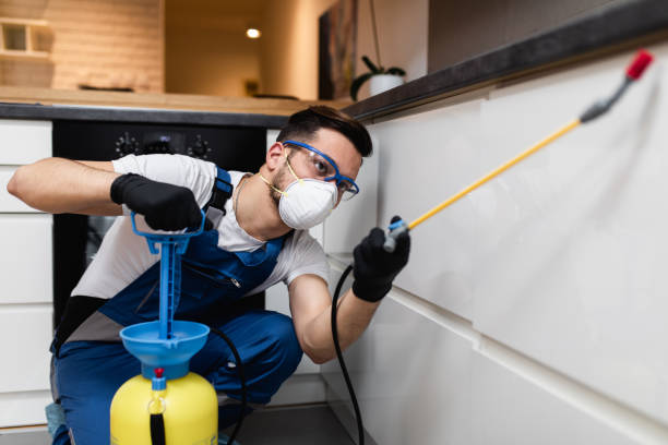 Best Bed Bug Extermination  in Velva, ND