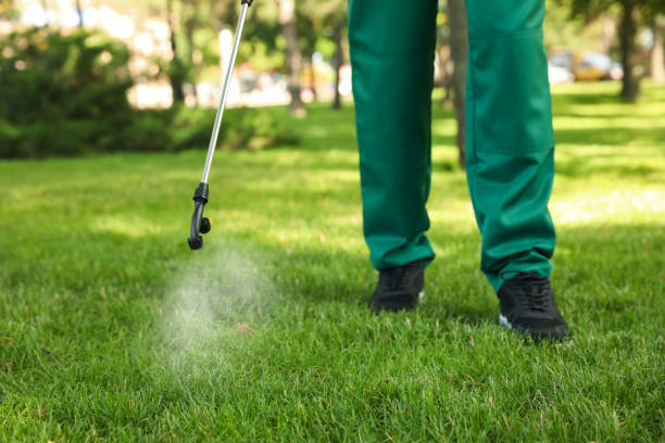 Best Mosquito Control Services  in Velva, ND