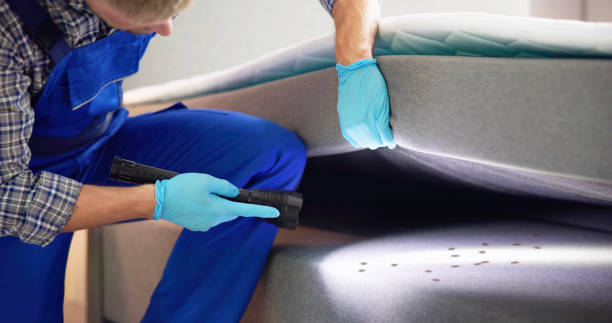 Best Mosquito Control Services  in Velva, ND