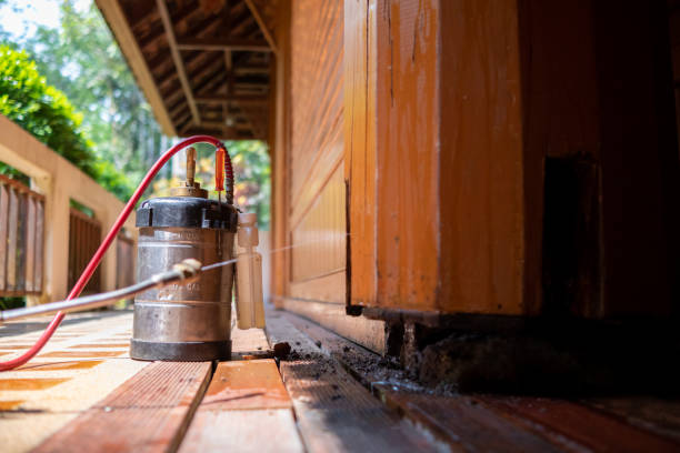 Best Residential Pest Control  in Velva, ND